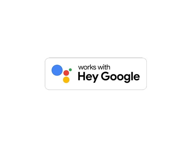 Google Assistant Somfy Integration