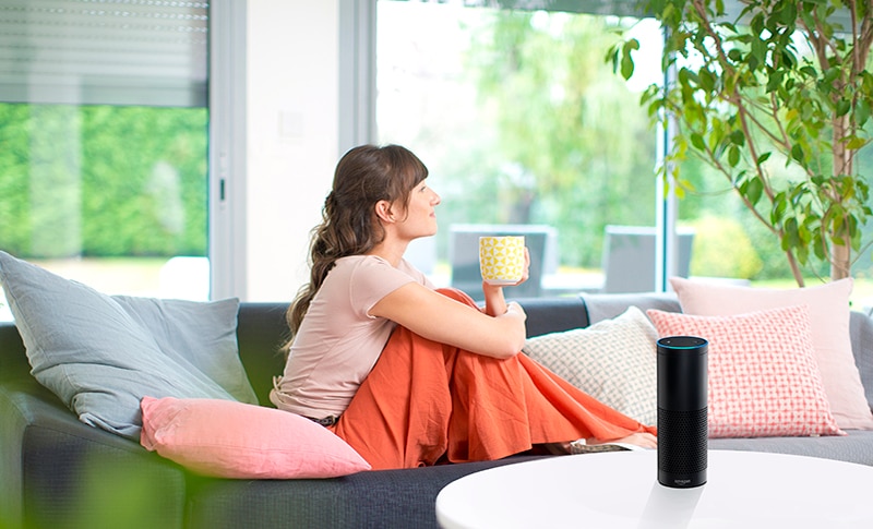 Somfy-powered Products Now Compatible Alexa