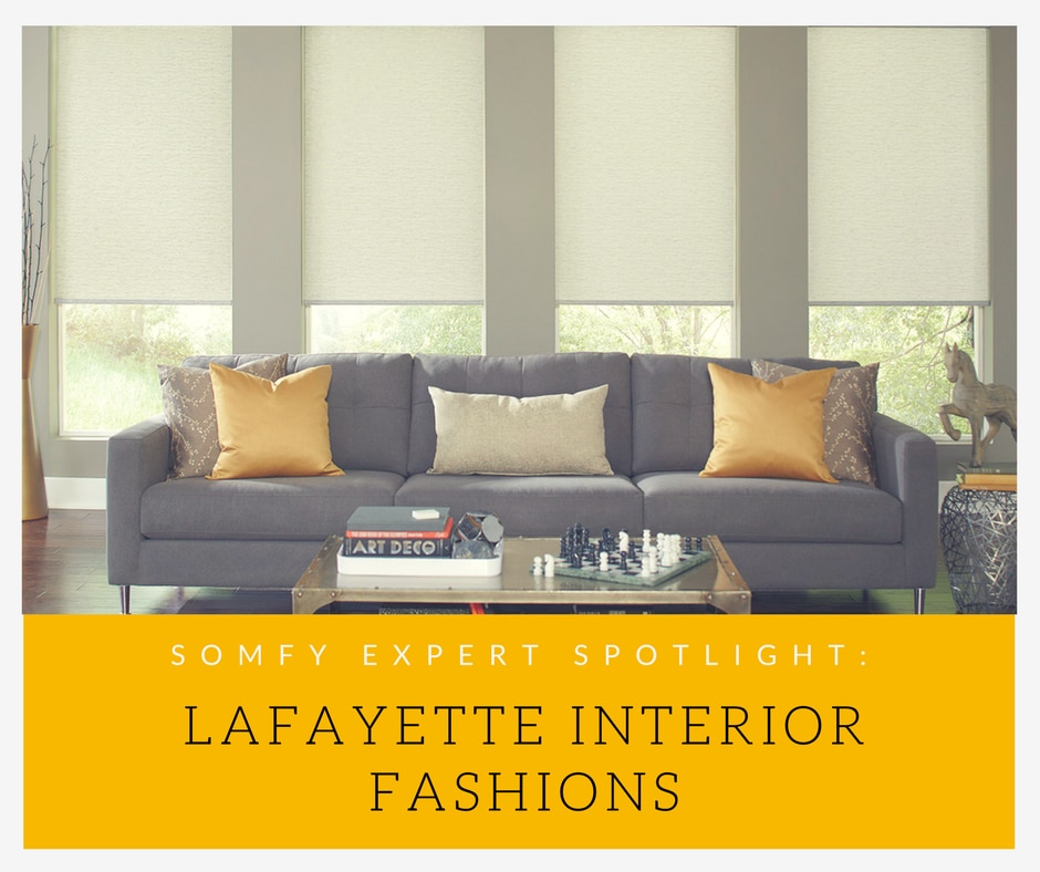 Expert Spotlight Lafayette Interior Fashions