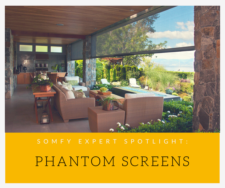 Expert Spotlight Phantom Screens